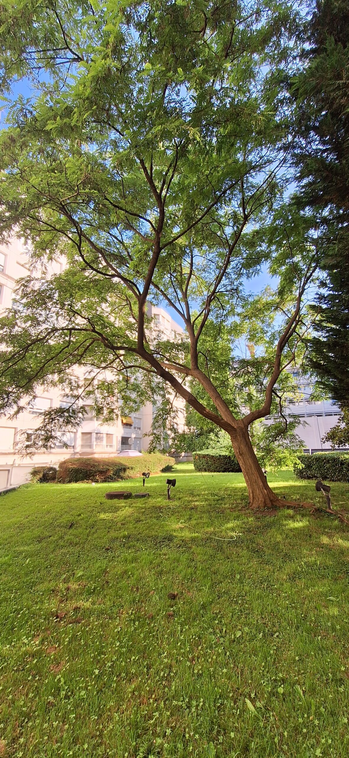 Sous-traitance élagage en Haute-Savoie