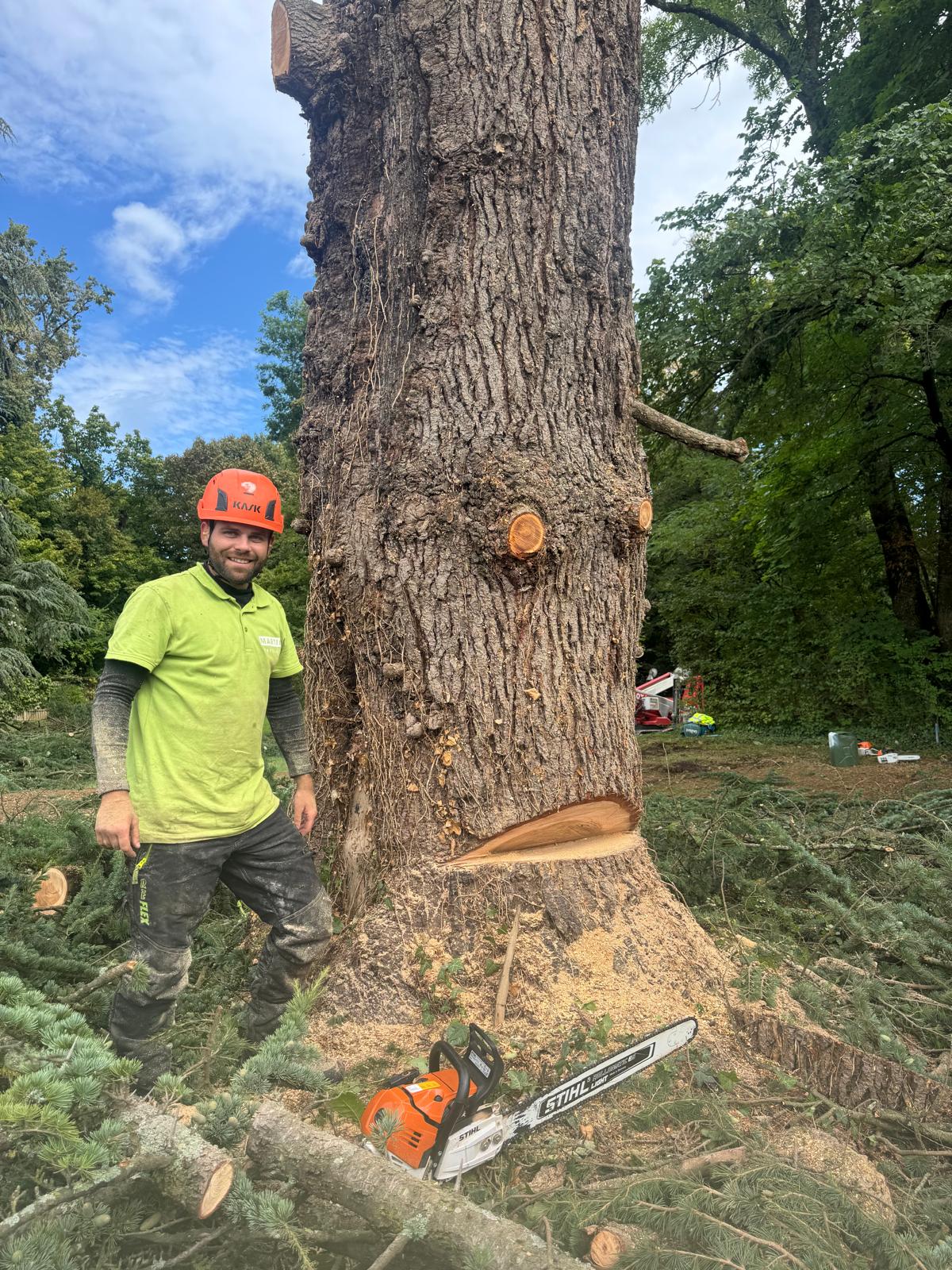 Abattage d’arbre en Haute-Savoie