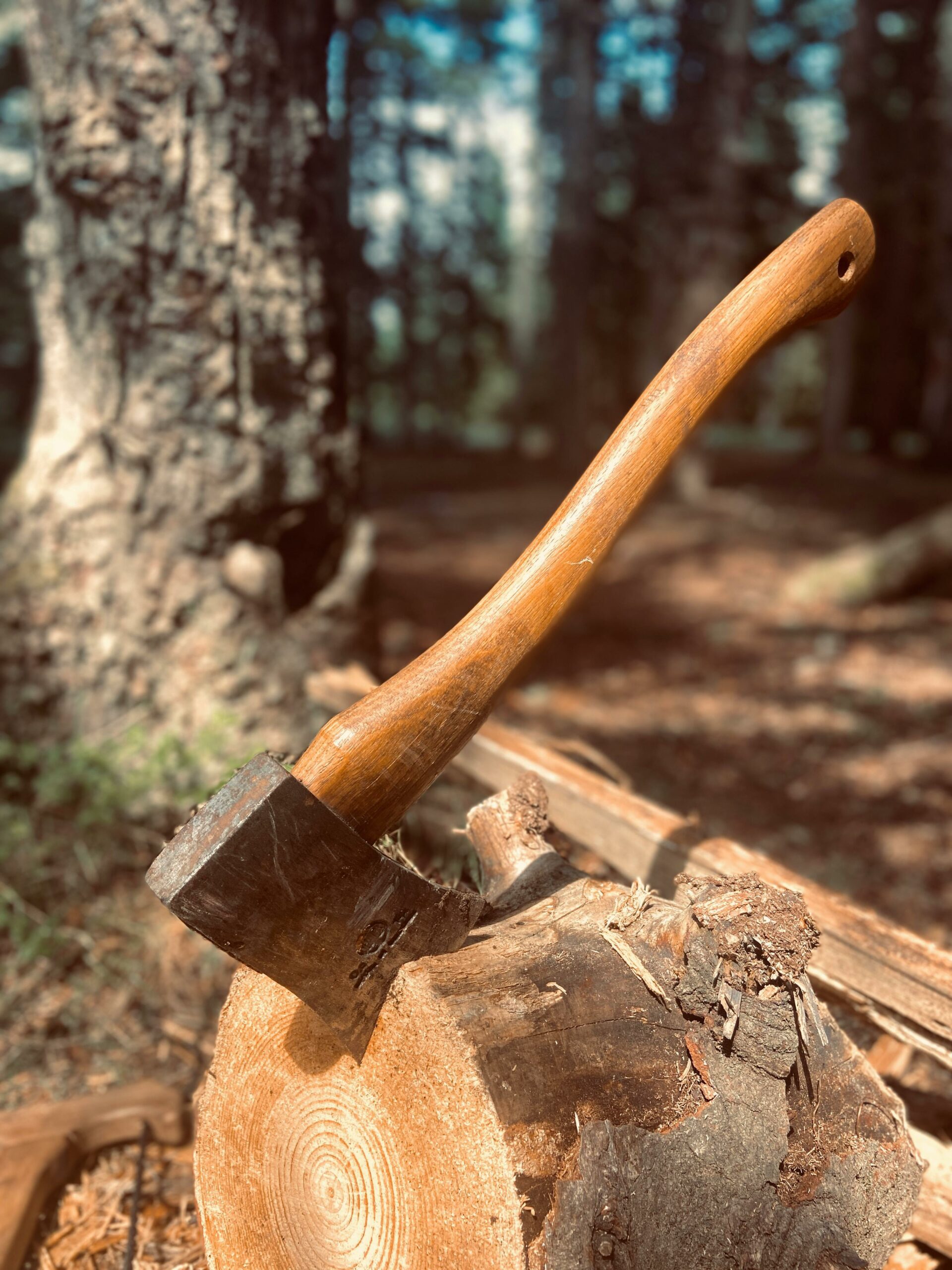 Aménagement écologique en Haute-Savoie