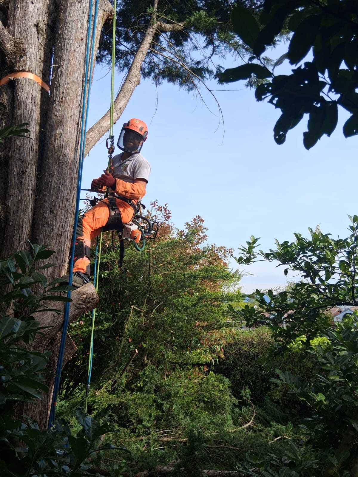 Gestion et valorisation du bois en Haute-Savoie