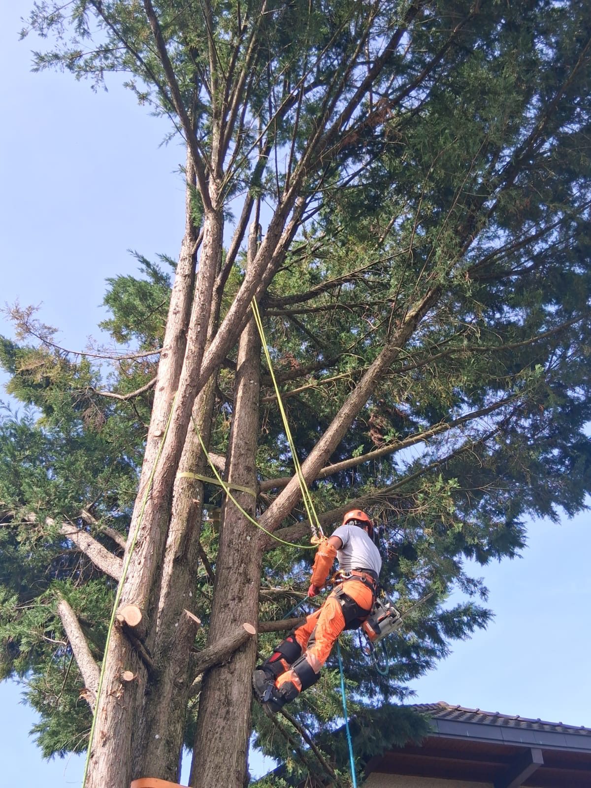 Travaux forestiers en Haute-Savoie
